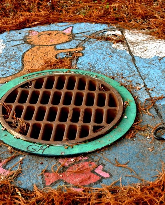 Photo by Michael Trimble on Unsplash