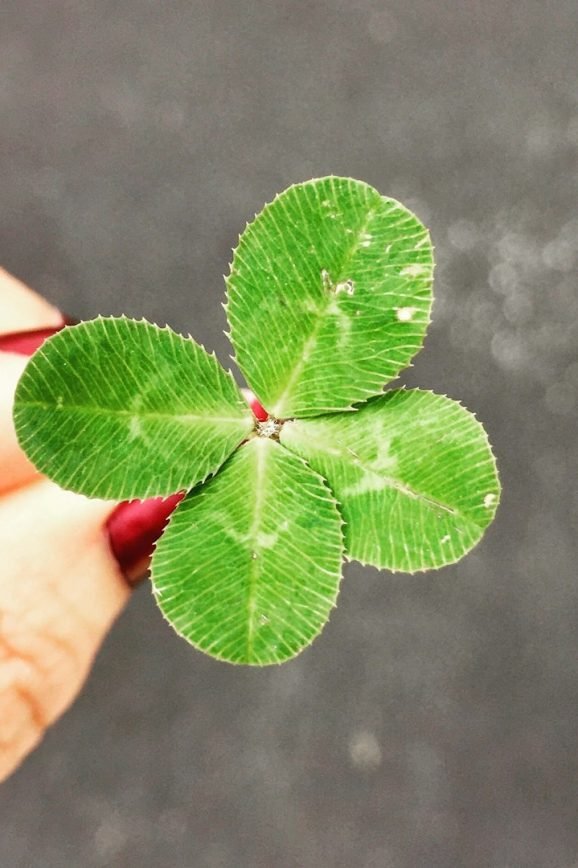 Photo by Amy Reed on Unsplash