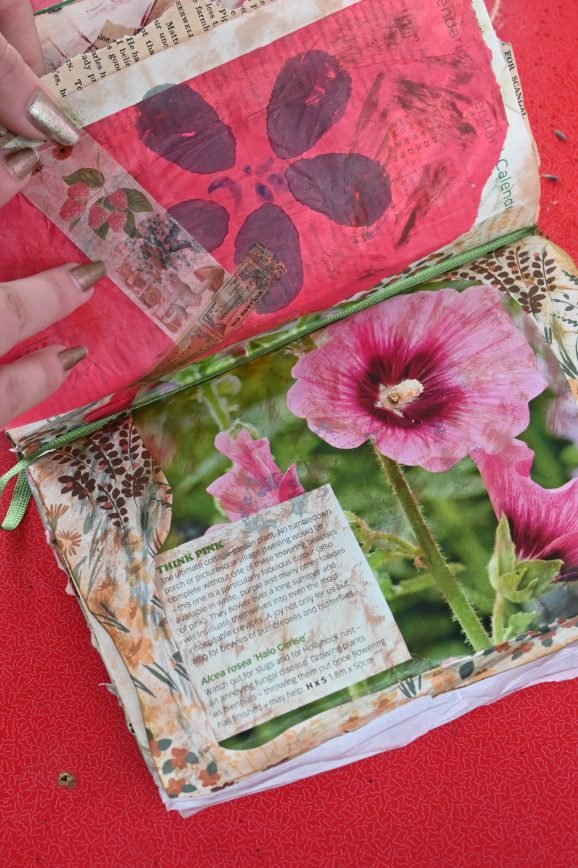 Allotment exhibition