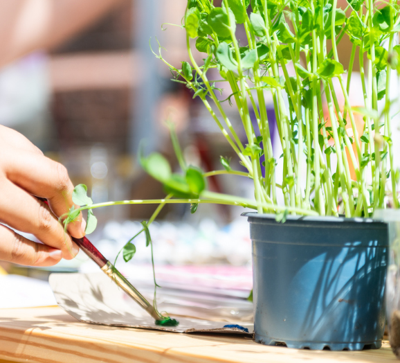 Another Way... public art workshop (2023)