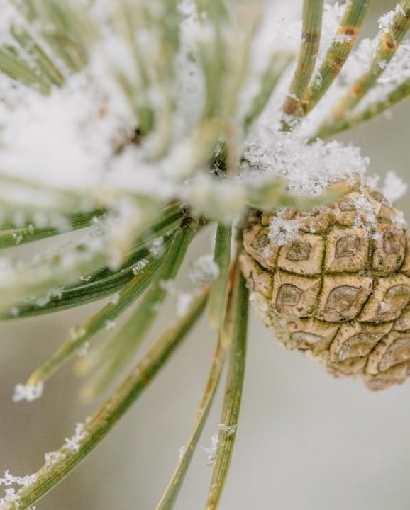 Photo by Raed Kasrwani on Unsplash