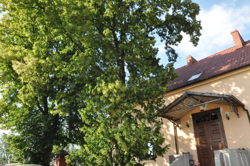 Magda Olchawska private archive.