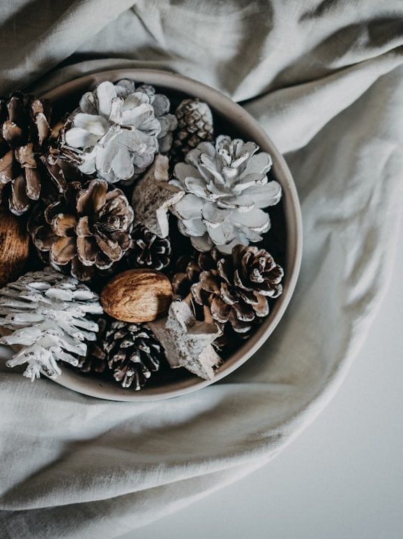 Photo by Annie Spratt on Unsplash