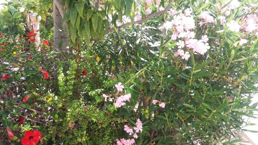 From Magda Olchawska private archive.