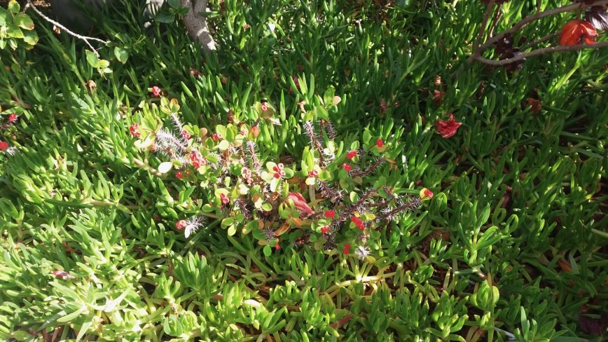 From Magda Olchawska private archive.