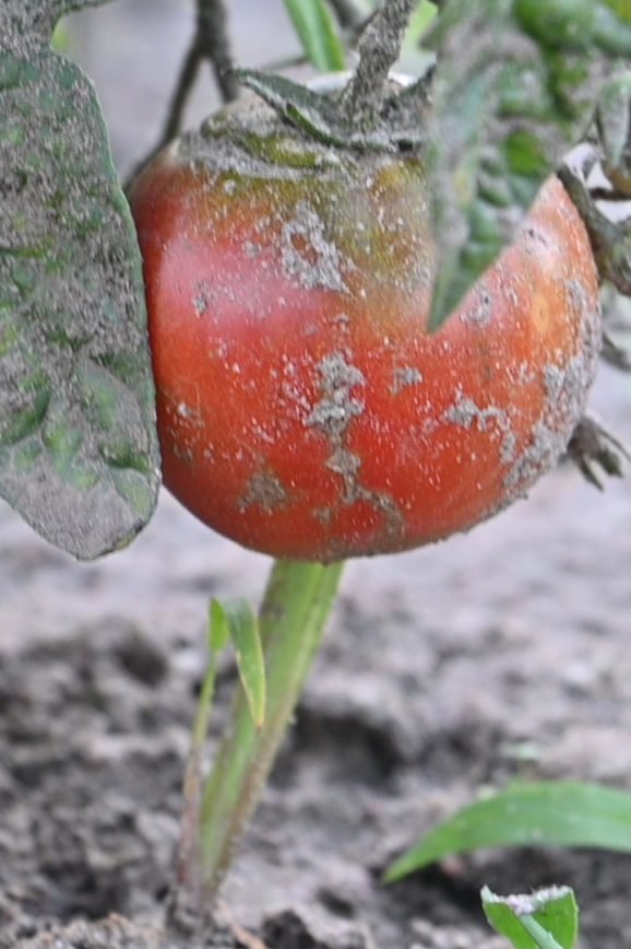 Magda Olchawska private archive.