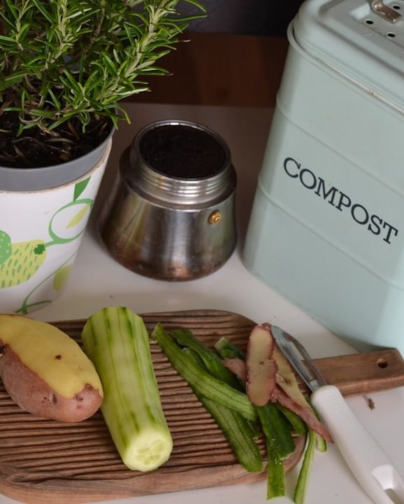 Photo by Lenka Dzurendova on Unsplash