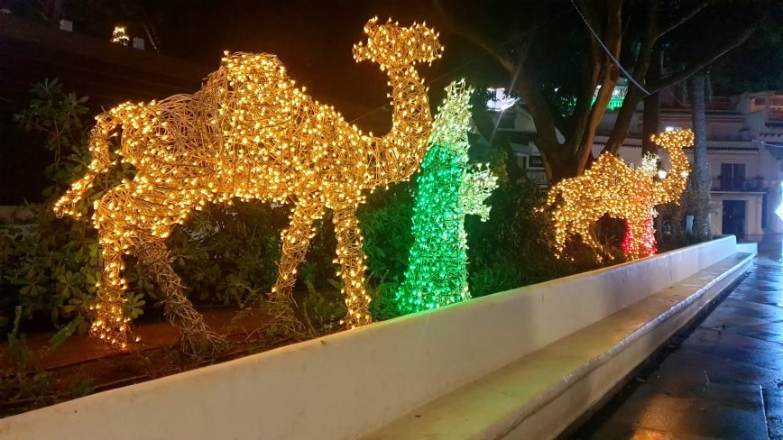 Magda Olchawska private archive.